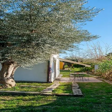 Jupiter's Dreams House With Private Pool * Syracuse